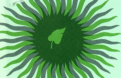 Archival environmental impact statement